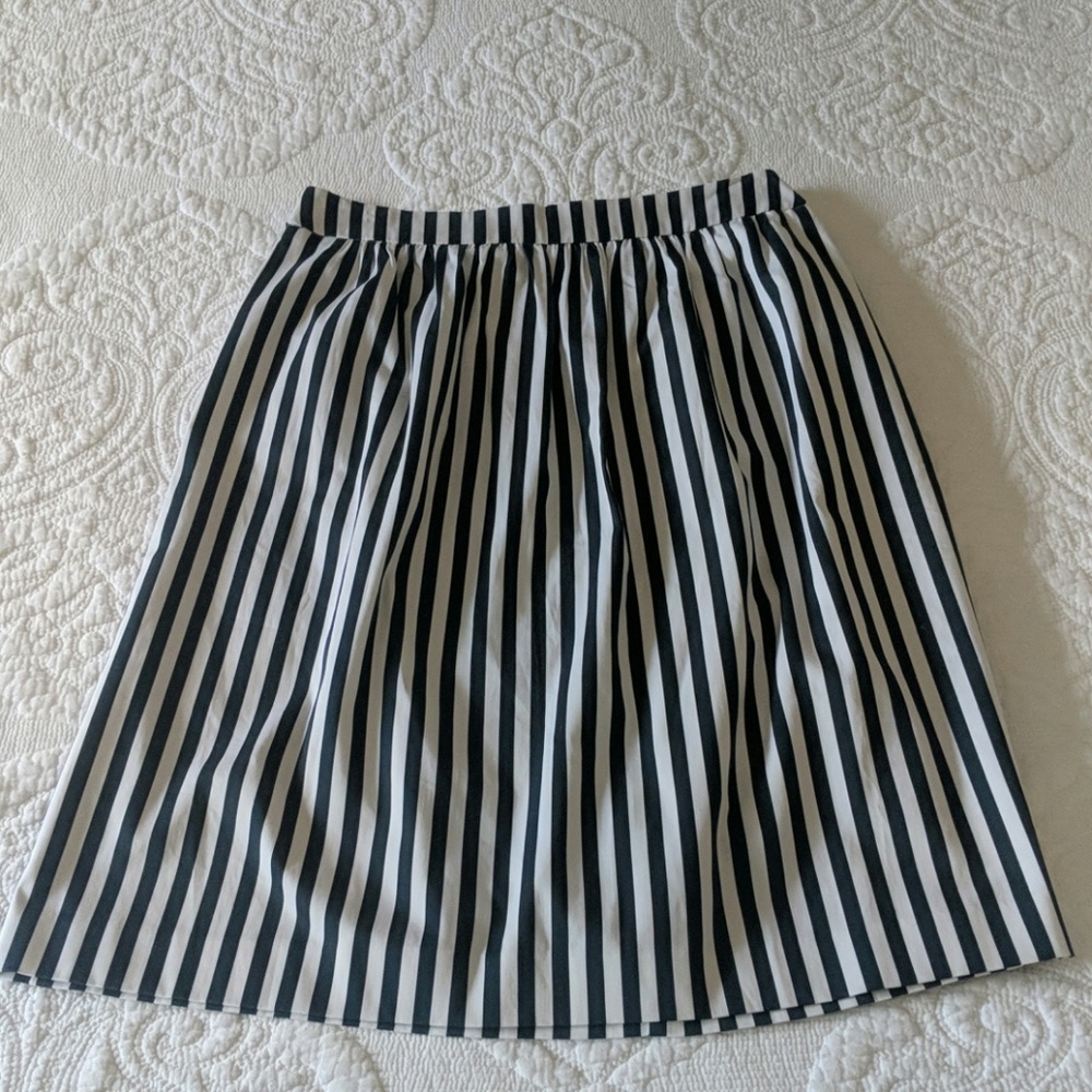 NWT Striped A-line Skirt
